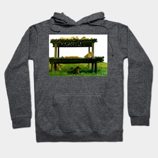 Lazing in the shade Hoodie